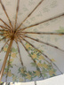 VONLILIENFELD費(fèi)樂德16骨雙層傘加大加厚加固晴雨兩用高顏值雨傘防紫外線太陽傘 曬單實拍圖