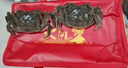 【活蟹】乾澄大閘蟹現(xiàn)貨 全母蟹2.3-2.6兩 10只 鮮活六月黃螃蟹生鮮海鮮禮盒裝源頭直發(fā) 曬單實(shí)拍圖
