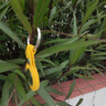 YUGO日本驅(qū)蚊扣防蚊手環(huán)嬰兒寶寶植物精油貼兒童成人掛件戶外隨身防蚊 防叮掛件【象牙白】可掛鑰匙 掛手機 曬單實拍圖