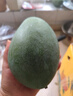 三亞芒果  海南芒果新鮮水果生鮮整箱當(dāng)季大青皮芒 熱帶孕婦芒果 10斤裝(凈果8.5-9斤)單果300g+ 曬單實拍圖