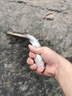 老鬼（OLDGHOST）魚餌南極磷蝦誘200g濃腥蝦粉釣餌黑坑池釣湖庫鯽魚鯉魚 曬單實(shí)拍圖