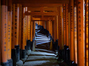 松下12-35mm F2.8 廣角變焦鏡頭（Panasonic） (H-ES12035GK) 風(fēng)光 人像 建筑 防抖  曬單實(shí)拍圖