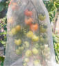 諾優(yōu)寵西紅柿專(zhuān)用打蟲(chóng)藥防小番茄用藥殺蟲(chóng)劑蟲(chóng)除蟲(chóng)藥防蟲(chóng)長(cháng)蟲(chóng)驅蟲(chóng)非農藥 【1瓶裝】植物殺蟲(chóng)劑1瓶 曬單實(shí)拍圖