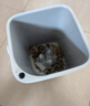 佳幫手茶水桶8.6L廢水濾茶桶茶渣茶葉泡茶水桶排水廚房干濕分離垃圾桶 曬單實(shí)拍圖