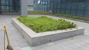 TOMSPOWER充電式綠籬機(jī)電動(dòng)修剪機(jī)托馬斯園林綠化剪茶葉背負(fù)式茶樹修粗枝機(jī) 雙刃24V重修款+20A(8.5小時(shí)) 曬單實(shí)拍圖