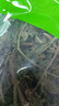 墨源靈香草中藥材香料零陵香香靈草滿(mǎn)山香香草調料可做香包干草打粉 靈香草100克【新貨】 曬單實(shí)拍圖