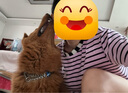 拉夫威爾瑞安客半P鏈狗狗項(xiàng)圈大型犬脖套訓(xùn)練進(jìn)口寵物用品 墨池藍(lán) M 曬單實(shí)拍圖