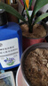 花諾蘭靈王蘭花專(zhuān)用營(yíng)養液肥料蘭陵王爆根劑催芽促花EM菌液微生物菌肥 蘭花專(zhuān)用肥【525ml】 曬單實(shí)拍圖
