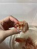 昕品方紅魔蝦鮮活超大刺身甜蝦 水產(chǎn)非西班牙進(jìn)口海鰲蝦牡丹蝦 500g 0g(凈重)  13-14cm[20-30只新貨紅魔蝦] 曬單實(shí)拍圖