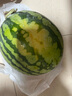 【產地直采】麒麟奶油西瓜1粒4kg 曬單實拍圖