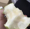 式果禮河北皇冠梨 當(dāng)季冰糖青皮翠冠梨翠玉皇冠梨香梨雪梨新鮮水果整箱 3斤 精選大果【單果250g+】 曬單實(shí)拍圖