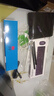 華碩（ASUS）【14代酷睿i7】臺(tái)式電腦主機(jī)獨(dú)顯商務(wù)辦公家用游戲設(shè)計(jì)電腦全套 B：酷睿i5/16G/756G/辦公獨(dú)顯 華碩單主機(jī)(五年質(zhì)保+國(guó)行帶票) 曬單實(shí)拍圖