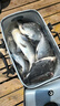 千壽（Qianshou） 千壽釣線(xiàn)日本黑坑釣魚(yú)線(xiàn)超柔軟強拉力原絲尼龍線(xiàn) 【主線(xiàn)買(mǎi)二送二】1.2 曬單實(shí)拍圖