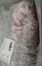 鮮活沖浪大鱸魚600-750g/條 曬單實拍圖