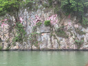 巴厘小豬（BALIPIG）兒童短褲運(yùn)動(dòng)褲夏季薄款中大童休閑褲男孩速 卡其 140 cm 曬單實(shí)拍圖