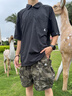LAZY DAY TREND戶外山系防曬涼感速干半拉鏈POLO衫男夏季輕量化工裝短T恤 啞光黑 L 曬單實拍圖