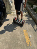 九號(hào)（Ninebot）電動(dòng)平衡車小九米Mini成年人電動(dòng)車代步腿控智能兩輪大人非燃動(dòng)版Plus長(zhǎng)續(xù)航 曬單實(shí)拍圖