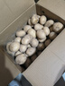 京覓 黃皮土豆 凈重9斤單果100g起 沙土地洋芋馬鈴薯新鮮蔬菜源頭直發(fā) 曬單實(shí)拍圖
