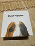 暇步士（Hush Puppies）皮帶女簡約時(shí)尚百搭牛皮ins風(fēng)韓版修身裙子板扣腰帶生日禮物 曬單實(shí)拍圖