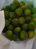 趣嘗鮮海南小青檸檬青金桔2斤裝 單果10g起源頭直發(fā)包郵 曬單實(shí)拍圖