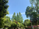 HENGTRAVELER現(xiàn)代舞蹈褲男女款練功褲顯高顯瘦舒適輕松燈籠褲束口褲運動蘿卜褲 黑色 L 曬單實拍圖