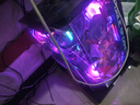 華碩i9 14900KF 華碩ROG全家桶 5070Ti/RTX5080主機(jī) 5090D顯卡U7 265K主機(jī)游戲電競(jìng)AI渲染組裝電腦整機(jī) U9 285K+華碩RTX5080丨九 曬單實(shí)拍圖