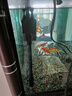 閩江魚缸水泵過濾器氧氣泵增氧泵金魚缸水泵換水增氧原裝造浪上過濾 R3 1200/20W 曬單實拍圖