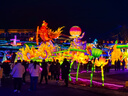 霽帆耐寒花種多年生野花組合種子四季開(kāi)花花籽庭院易種活室外花卉 精品野花組合【一斤裝】 曬單實(shí)拍圖