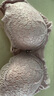 夏娃秘語品牌蕾絲內(nèi)衣女小胸聚攏文胸上托顯胸時(shí)尚調(diào)整型立挺輕奢胸罩文胸 粉藕(Y055) 80A /36A(上薄下厚杯約2.8CM) 曬單實(shí)拍圖