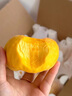 果園創(chuàng  )意山東蒙陰黃桃【閃送】黃金蜜毛桃脆甜桃子水果禮盒端午節送禮 甄選A+2斤 曬單實(shí)拍圖