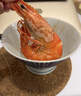 京東京造 一次性筷子 食品級碳化竹筷 獨立包裝家用燒烤露營(yíng)筷子110雙 曬單實(shí)拍圖