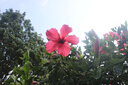 佳能（Canon）EOS600D750D700D760D800D850d學生入門拍照攝像二手單反相機 600D+18-55 【套機】 99新 曬單實拍圖