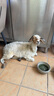 正大飼料羔羊開(kāi)口料小羊羔顆粒飼料斷奶育肥增肥促生長(zhǎng)80斤 20斤羔羊顆粒(585) 曬單實(shí)拍圖