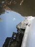 康卿（KANGQING）魚池撇渣器魚缸過(guò)濾器改面吸底吸落葉過(guò)濾凈水循環(huán)水面油膜處理器 帶水泵105W+適用水深60-90厘米 曬單實(shí)拍圖