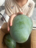 三亞芒果  海南芒果新鮮水果生鮮整箱當(dāng)季大青皮芒 熱帶孕婦芒果 5斤裝（凈重4.5斤） 單果200克+ 曬單實(shí)拍圖