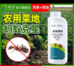 皎潔螞蟻藥菜地農(nóng)用戶外室外家用全窩一鍋殺螞蟻除滅蟻端殺專用殺蟲劑 500g 1瓶 【送殺蟻粉劑】不傷菜園 曬單實(shí)拍圖