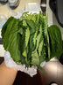 良知農(nóng)哥 【順豐】東北新鮮蘇子葉 蘇紫葉蘇菜葉 健康輕食 250g約90片 曬單實拍圖