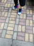 赤兔8pro碳板男童跑步鞋中大童網(wǎng)面透氣體考運(yùn)動(dòng)跑鞋輕便 a1電光升級款 38 曬單實(shí)拍圖