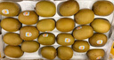 佳沛（zespri）新西蘭陽(yáng)光金果10個(gè)裝單果重約85-103g 水果 獼猴桃 源頭直發(fā) 曬單實(shí)拍圖