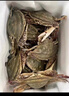 梭子蟹鮮活特大野生舟山大螃蟹海鮮新鮮冷凍海蟹水產(chǎn)飛蟹白蟹順豐 9兩以上/只 【凈重5斤大梭子蟹】 曬單實(shí)拍圖