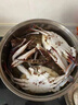 胖東來(lái)品質(zhì)梭子蟹鮮活特大野生舟山白蟹冷凍大螃蟹海蟹新鮮公蟹 3-5兩/只 【3斤舟山梭子蟹 嘗鮮 曬單實(shí)拍圖