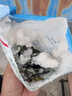 鮮海帶 鹽漬海帶結(jié) 海帶扣 火鍋食材 海洋蔬菜 大連鹽漬鮮海帶結(jié)500g 曬單實拍圖
