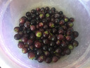 俏鮮莎有機(jī)葡萄夏黑巨峰醉金香玫瑰香生鮮提子紅提混合新鮮水果4斤6禮盒 夏黑 一串試吃裝 約1.2-1.3斤 曬單實(shí)拍圖