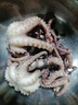 大長(cháng)腿八爪魚(yú)鮮活速網(wǎng)紅爆頭凍商用活的冷凍特大海鮮水產(chǎn) 長(cháng)腿八爪魚(yú)小號20只左右【2斤裝】 曬單實(shí)拍圖