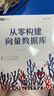 從零構建向量數據庫 聯(lián)合DeepSeek打造私人知識庫（圖靈出品） 曬單實(shí)拍圖