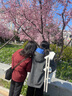 格美居（GEMJU）家用梯子人字梯鋁合金折疊多功能攝影梯室內外移動(dòng)便攜工程梯凳 米白色 三步 小梯凳 曬單實(shí)拍圖