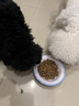 鮮朗低溫烘焙狗糧泰迪博美小型犬中大型幼犬鮮郎全價(jià)無(wú)谷成犬通用犬糧 烘焙犬糧2kg【單包裝】 曬單實(shí)拍圖