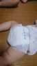 名典泰迪一體拉拉褲XXXL碼48片【17-19kg】嬰兒尿不濕超薄干爽尿褲通用 曬單實拍圖