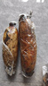 洪湖農(nóng)家蓮藕新鮮 洪湖粉藕 蔬菜 生鮮5斤 火鍋食材 洪湖蓮藕 順豐 曬單實(shí)拍圖