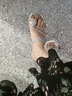 依思 Q（exull）拖鞋女外穿2025新款夏季輕便防滑涼拖鞋女氣質(zhì)軟底一腳蹬高跟鞋女 銀色【水鉆細(xì)閃】久穿不累5cm 37 曬單實(shí)拍圖